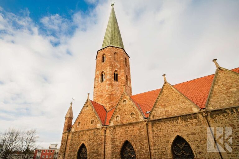 Blick auf die Petrikirche