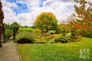 ...gewachsenem Pflanzenbestand