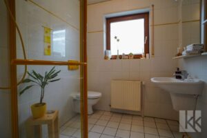 Gäste-WC mit Dusche