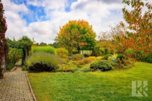 ...gewachsenem Pflanzenbestand