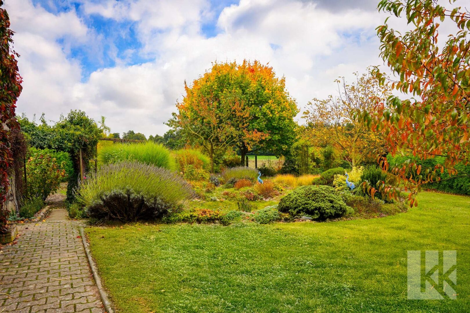 ...gewachsenem Pflanzenbestand