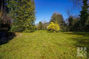 ...altem Baumbestand