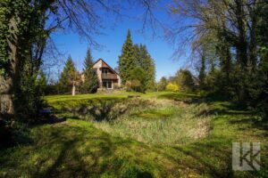 ...Schwimmteich und...