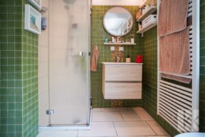 Das Hauptbad mit Dusche, ...